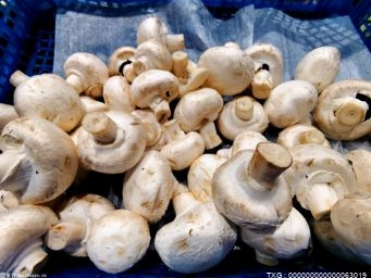 海城市接文镇三家堡村全村人均收入从种植香菇前的每年2000元增长到现在的2万元