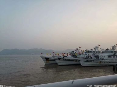 大铲湾码头迎来Orchid的正式挂靠 加强中国和东南亚之间的连接