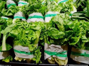 蔬菜商业库存1.5万吨 南京春节“菜篮子”供应平稳有序