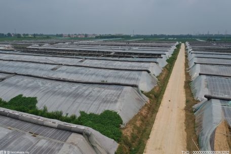 扬州:为农田项目“开绿灯”  着力改善农业生产条件生态环境
