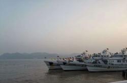 3月深圳港平均每日靠泊船舶132艘 港口整体运行平稳有序