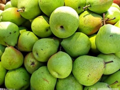 石家庄：首份马来西亚原产地证书签发 出口2吨鲜梨可减免关税5000元