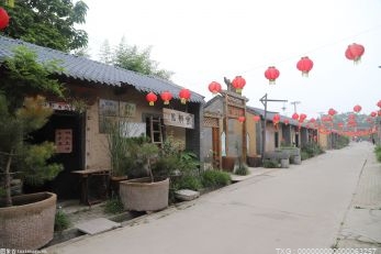 沧州东光共管共治提升村庄“颜值”  全面建设宜居宜业宜游美丽乡村