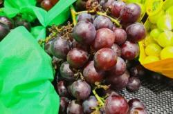 张家口怀来县以全域旅游思路发展葡萄产业 产业由“量”到“质”转变