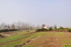 沧州东光2022年引调水工作顺利开启 为农业生产灌溉提供充足水源