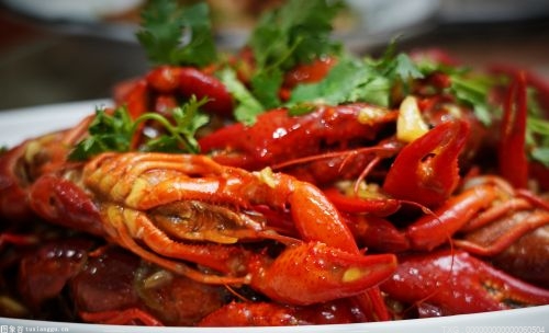 中国龙虾产业高质量发展大会举办 为中国龙虾产业发展“把脉问诊”