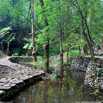 泰州泰兴首个林长制主题公园开放 引导参观者增加生态环境保护意识