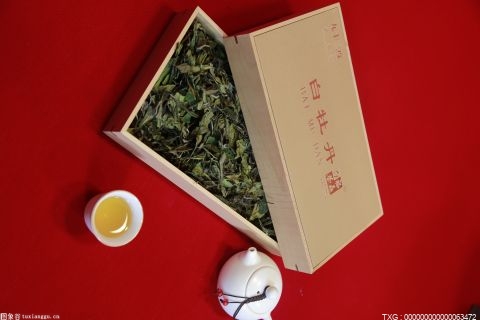 云南茶叶综合产值连续两年超千亿元 实现了“千亿云茶产业”目标