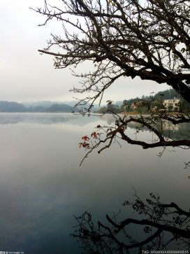 南京今年将完成174条幸福河湖创建 上半年50条幸福河湖创建工程已完成