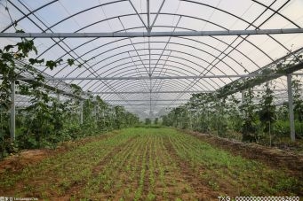上半年南京市绿色优质农产品比重达66.2% 位居全省前列