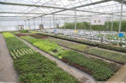 唐山古冶區讓農田進行“深呼吸”   有效提升農業綜合生產能力 