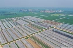 唐山迁安开展绿色种养循环农业 促进农业绿色高质量发展