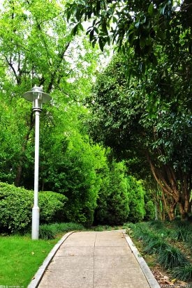 南京市计划建设80个口袋公园 改善城市人居环境品质
