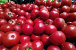 衡水：建成京津冀綠色農產品基地 培育一批在京津市場上叫得響的果蔬品牌 